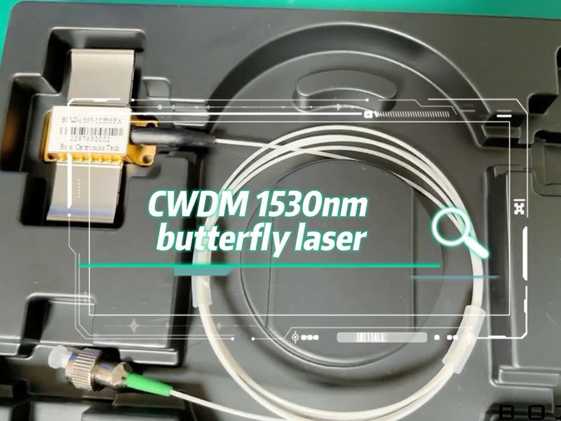 CWDM 1530 nm Schmetterlingslaser